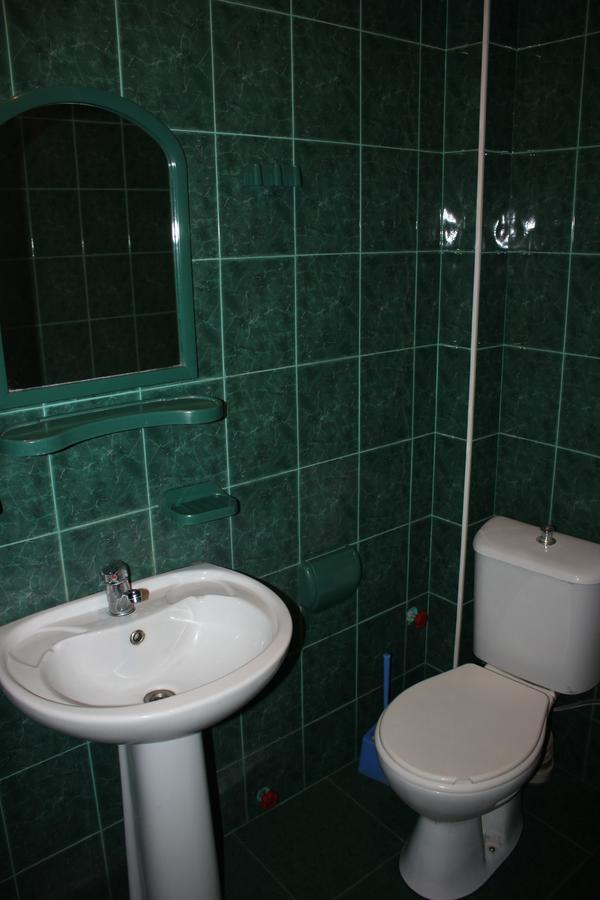 Firuza Hostel Borjomi ภายนอก รูปภาพ